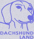 Питомник такс Dachshund Land / Kennel Dachshund Land